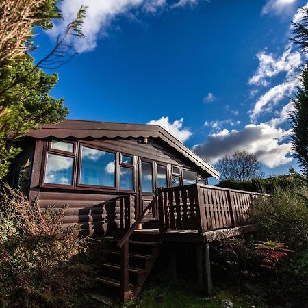 Log Cabin Nr Coed Y Brenin By Seren Short Stays Trawsfynydd Exteriör bild